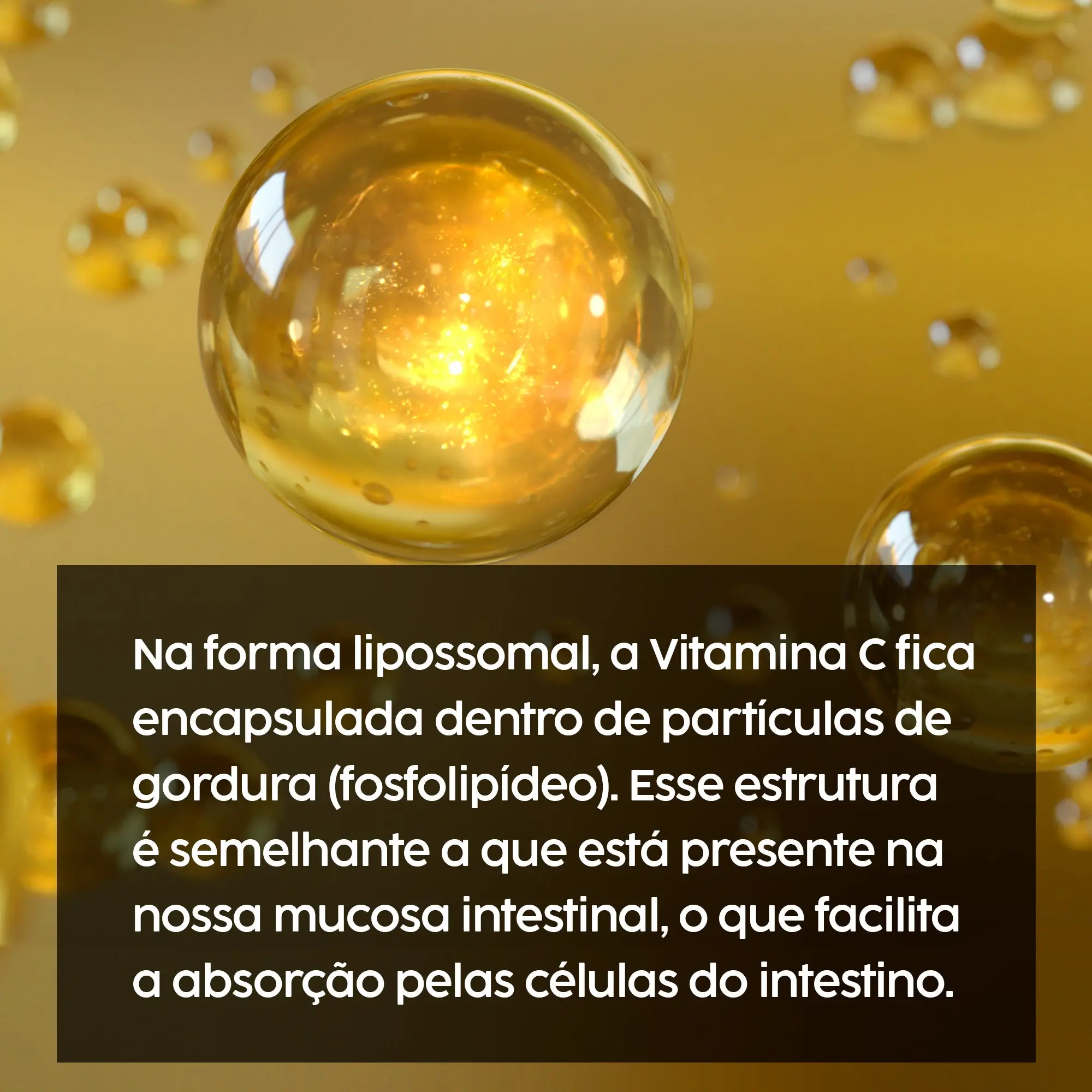 Imagem do produto 3